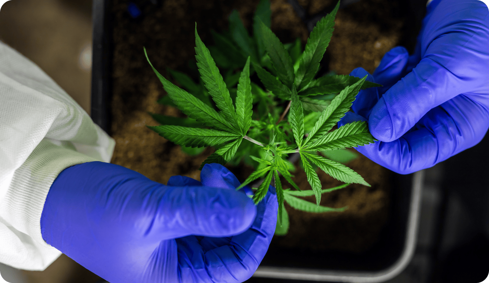 Laborgeprüfte Qualität