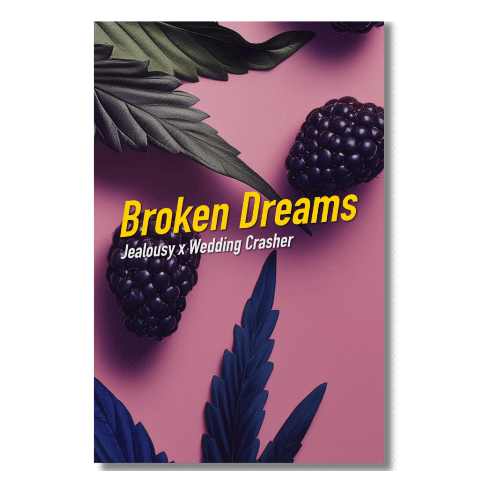 Broken Dreams - DS by Florganics UG