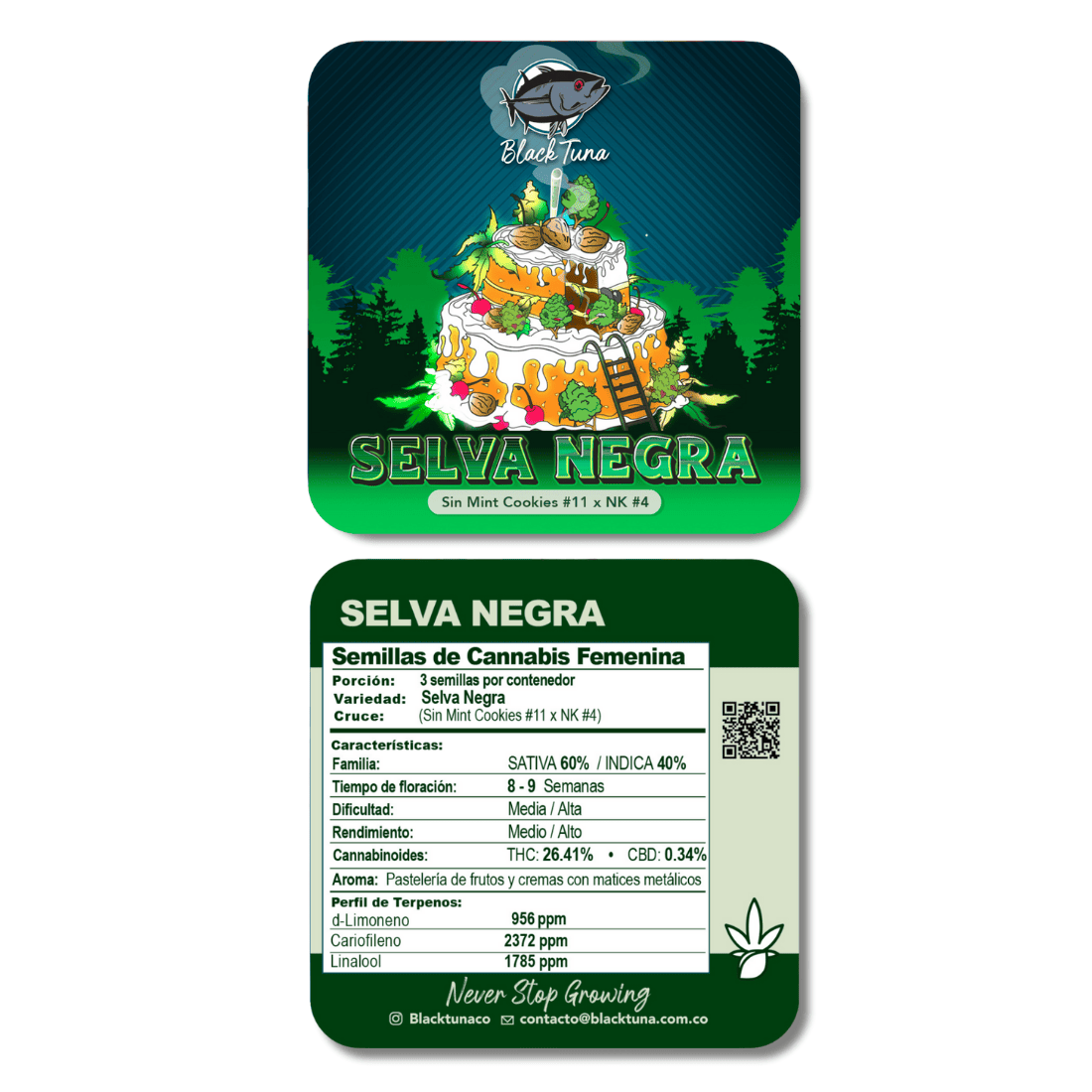 Selva Negra