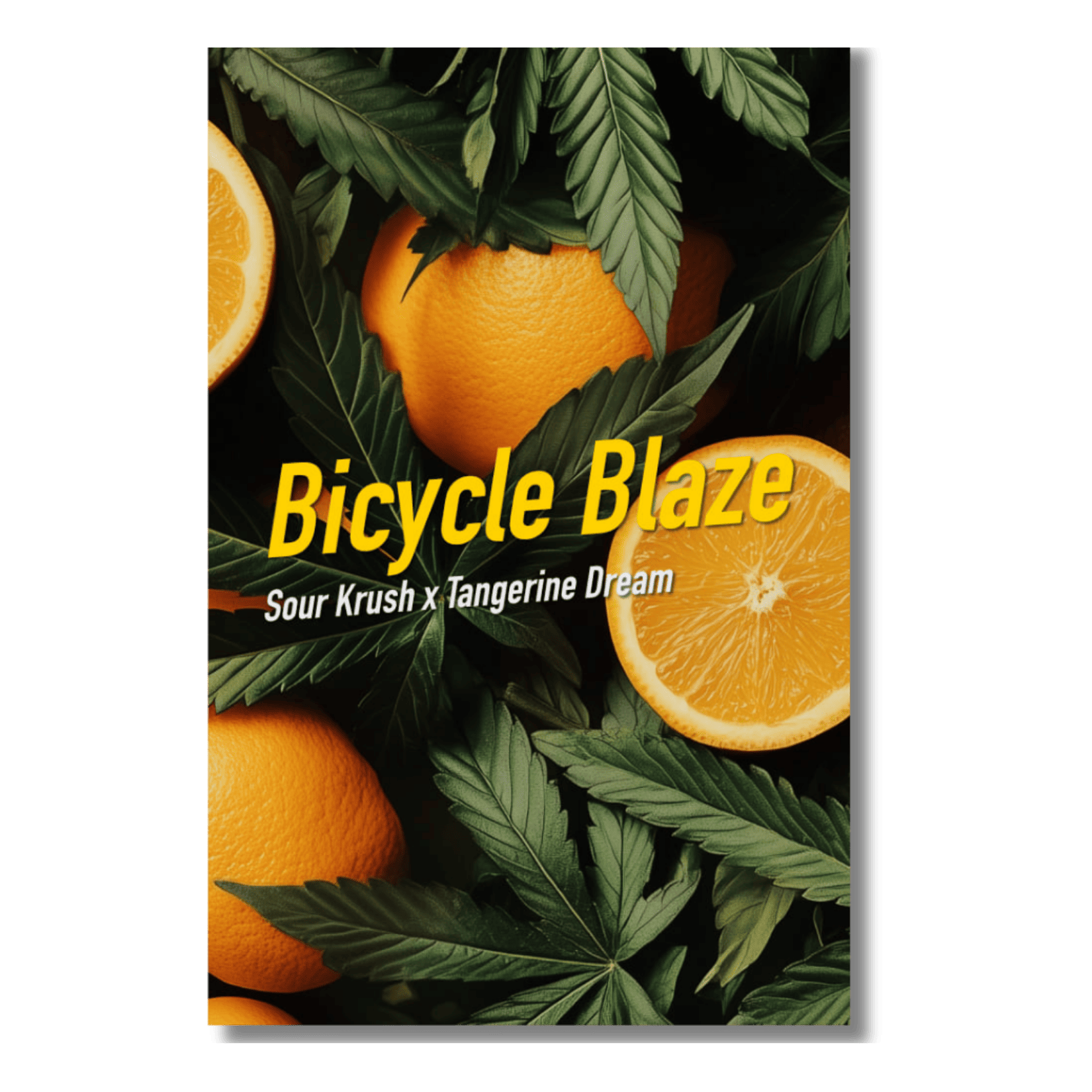 Bicycle Blaze - DS by Florganics UG