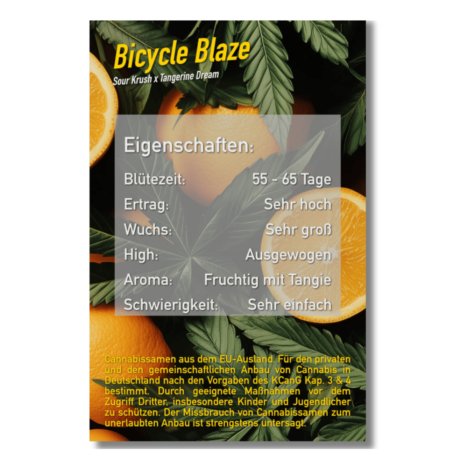 Bicycle Blaze - DS by Florganics UG